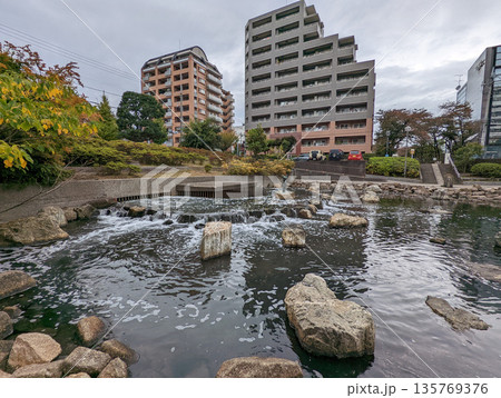 仙台堀川公園 2021年11月 仙台堀川公園 2021年11月 135769376