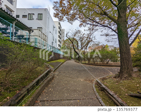 仙台堀川公園　2021年11月 135769377
