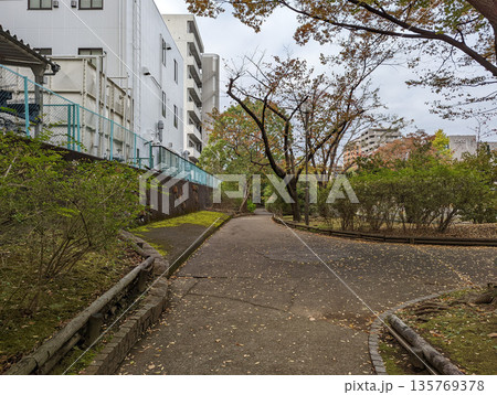 仙台堀川公園 2021年11月 仙台堀川公園 2021年11月 135769378