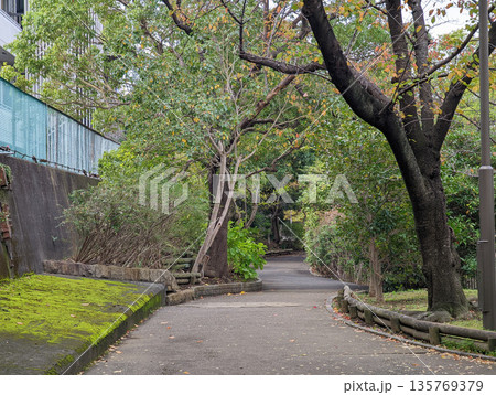 仙台堀川公園 2021年11月 仙台堀川公園 2021年11月 135769379