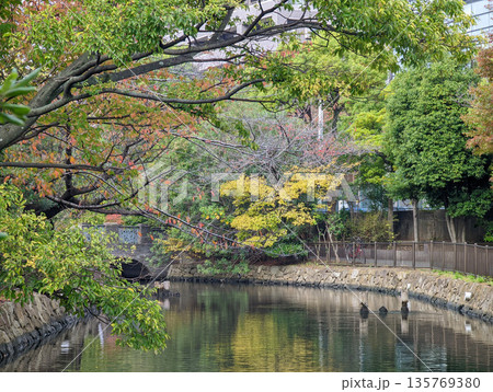 仙台堀川公園 2021年11月 仙台堀川公園 2021年11月 135769380