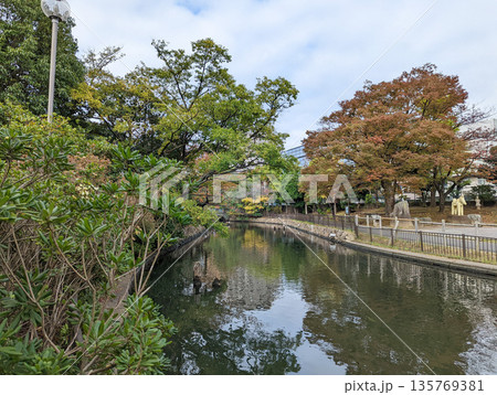仙台堀川公園 2021年11月 仙台堀川公園 2021年11月 135769381