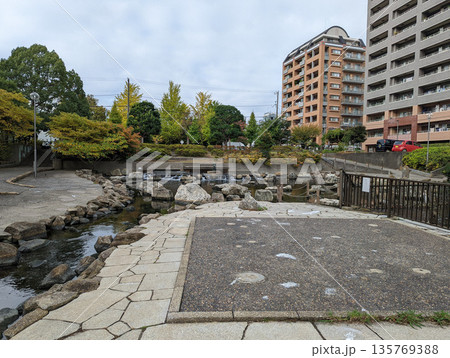 仙台堀川公園　2021年11月 135769388