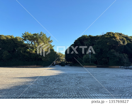 稲毛海浜公園　2023年12月 135769827