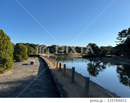 稲毛海浜公園 2023年12月 稲毛海浜公園 2023年12月 135769831