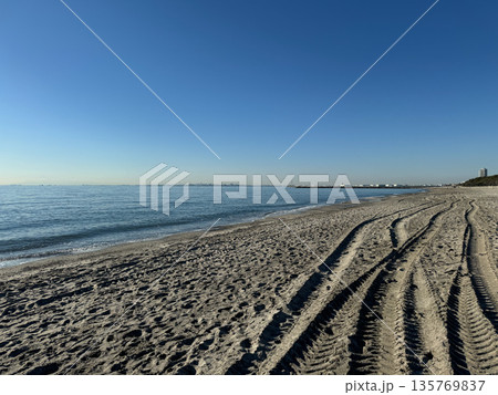 稲毛海浜公園 2023年12月 稲毛海浜公園 2023年12月 135769837