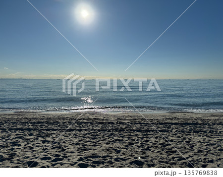 稲毛海浜公園　2023年12月 135769838