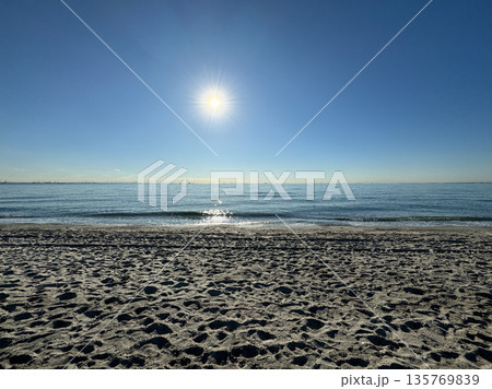 稲毛海浜公園　2023年12月 135769839