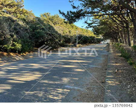 稲毛海浜公園　2023年12月 135769842