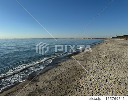 稲毛海浜公園　2023年12月 135769843