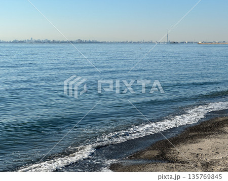 稲毛海浜公園 2023年12月 稲毛海浜公園 2023年12月 135769845