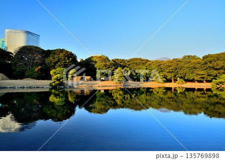 浜離宮庭園から観る超高層ビル群の風景 浜離宮庭園から観る超高層ビル群の風景 135769898