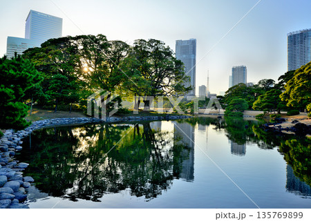 浜離宮庭園から観る超高層ビル群の風景 浜離宮庭園から観る超高層ビル群の風景 135769899