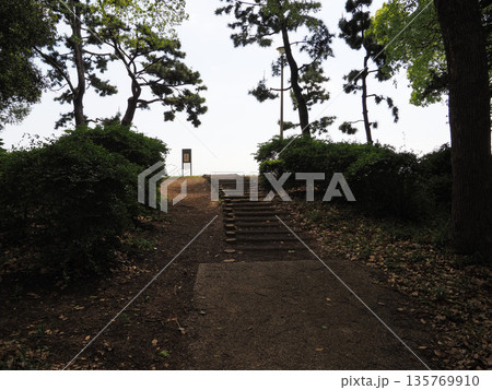 京浜島つばさ公園 2023年5月 京浜島つばさ公園 2023年5月 135769910