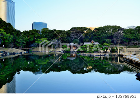 浜離宮庭園から観る超高層ビル群の風景 浜離宮庭園から観る超高層ビル群の風景 135769953