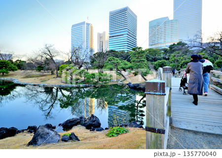 浜離宮庭園から観る超高層ビル群の風景 浜離宮庭園から観る超高層ビル群の風景 135770040