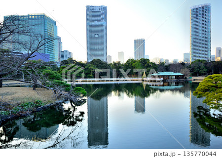 浜離宮庭園から観る超高層ビル群の風景 135770044