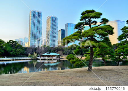 浜離宮庭園から観る超高層ビル群の風景 浜離宮庭園から観る超高層ビル群の風景 135770046