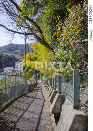 坂道 坂道 135770266