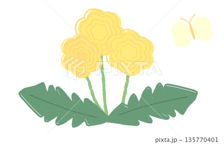 手描きの春のたんぽぽと蝶のイラスト 135770401