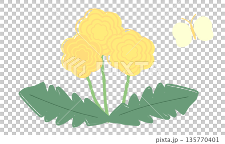 手描きの春のたんぽぽと蝶のイラスト 135770401