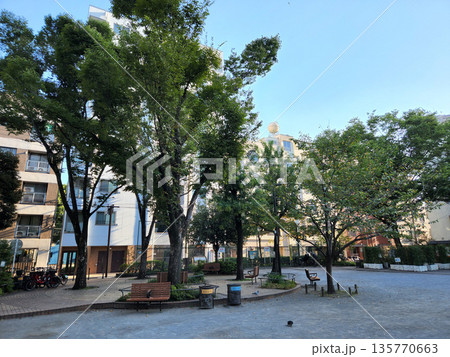 甘泉園公園　早朝　2022年10月 135770663