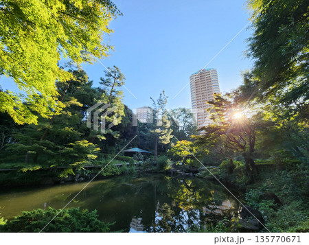 甘泉園公園　早朝　2022年10月 135770671