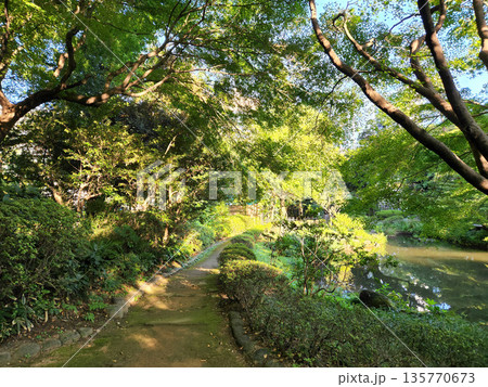 甘泉園公園 早朝 2022年10月 甘泉園公園 早朝 2022年10月 135770673