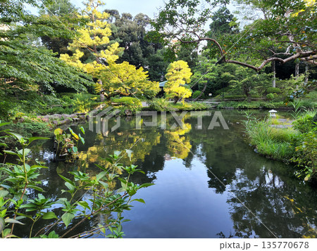 甘泉園公園 早朝 2022年10月 甘泉園公園 早朝 2022年10月 135770678