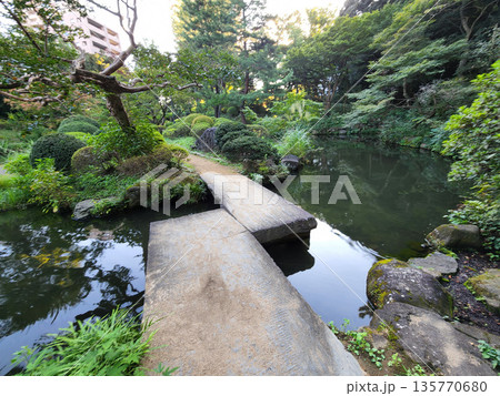 甘泉園公園 早朝 2022年10月 甘泉園公園 早朝 2022年10月 135770680