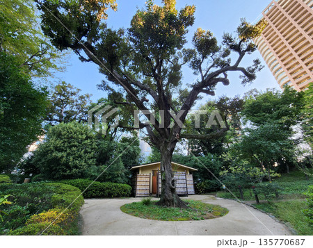 甘泉園公園 早朝 2022年10月 甘泉園公園 早朝 2022年10月 135770687