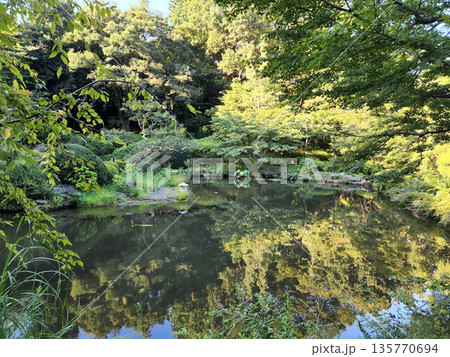 甘泉園公園 早朝 2022年10月 甘泉園公園 早朝 2022年10月 135770694