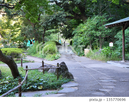 甘泉園公園 早朝 2022年10月 甘泉園公園 早朝 2022年10月 135770696