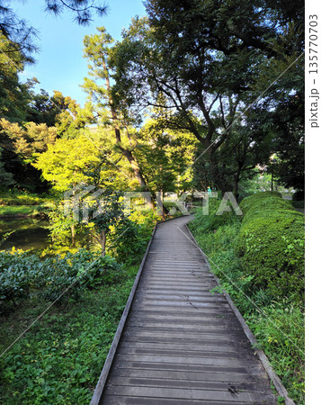 甘泉園公園 早朝 2022年10月 甘泉園公園 早朝 2022年10月 135770703