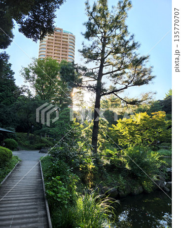 甘泉園公園　早朝　2022年10月 135770707