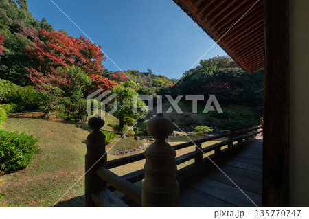 秋の観音院庭園 鳥取県鳥取市 秋の観音院庭園 鳥取県鳥取市 135770747