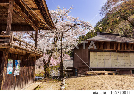 心浮き立ち、体も弾む、今年も来ました春の宵、春だ‼、桜だ‼、桜だ‼、春だ‼ 心浮き立ち、体も弾む、今年も来ました春の宵、春だ‼、桜だ‼、桜だ‼、春だ‼ 135770811