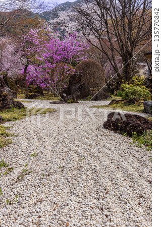 心浮き立ち、体も弾む、今年も来ました春の宵、春だ‼、桜だ‼、桜だ‼、春だ‼ 135770842