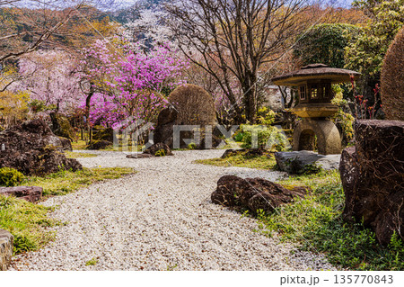 心浮き立ち、体も弾む、今年も来ました春の宵、春だ‼、桜だ‼、桜だ‼、春だ‼ 135770843
