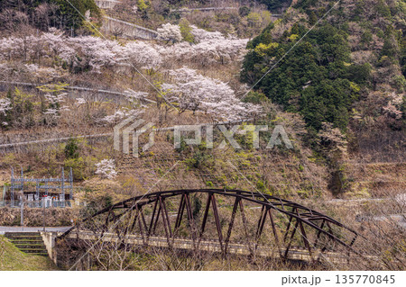 心浮き立ち、体も弾む、今年も来ました春の宵、春だ‼、桜だ‼、桜だ‼、春だ‼ 135770845