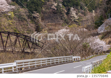 心浮き立ち、体も弾む、今年も来ました春の宵、春だ‼、桜だ‼、桜だ‼、春だ‼ 心浮き立ち、体も弾む、今年も来ました春の宵、春だ‼、桜だ‼、桜だ‼、春だ‼ 135770846