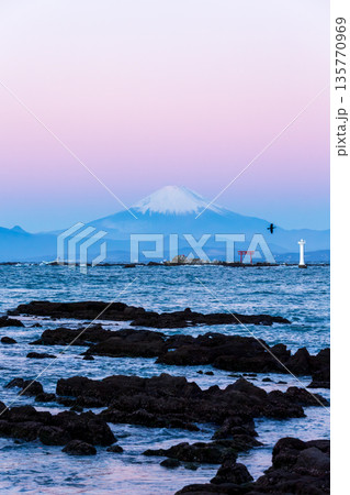 冬の葉山町真瀬海岸から夜明けの地球影とビーナスベルトでピンクに染まる富士山 135770969