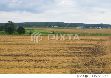 JR北海道札沼線　あいの里教育大駅から当別駅間の車窓風景(2023年夏曇り空) 135771237