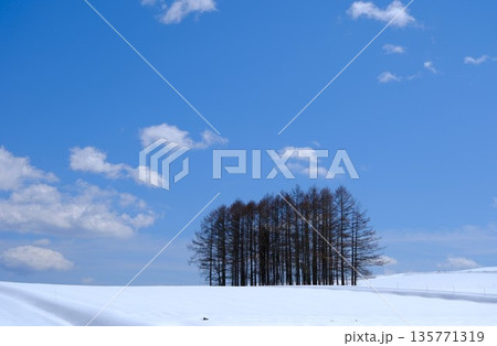 青空と真っ白な雪景色 135771319
