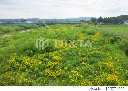JR北海道札沼線　当別駅から北海道医療大学駅間の車窓と駅の風景(2023年夏曇り空) 135771623