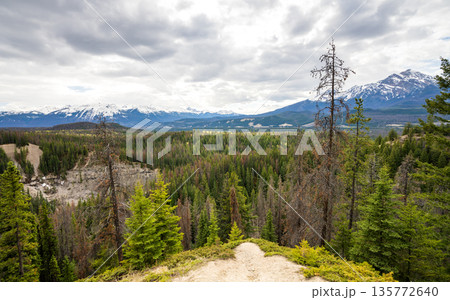夏のマリン・オーバールック展望台。ジャスパー国立公園、アルバータ州、カナダ。 135772640