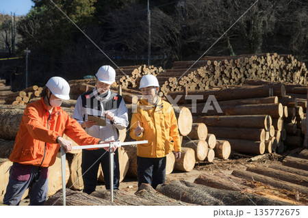 林業など第一次産業で働く人複数の人　ノギスで丸太を測る、不動産の木材材料のメージ 135772675