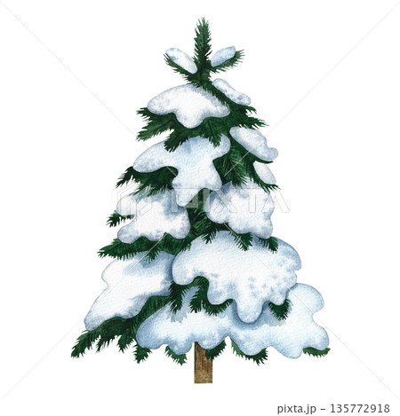 Snow-covered Christmas tree. Hand-drawn watercolor illustration of a snowy winter tree. Isolate. Design element for festive Christmas greeting cards, posters, banners, packaging, and more. 135772918