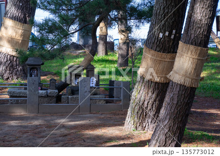 こも巻き 135773012