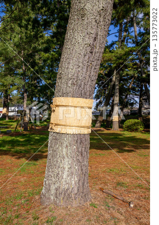 こも巻き こも巻き 135773022